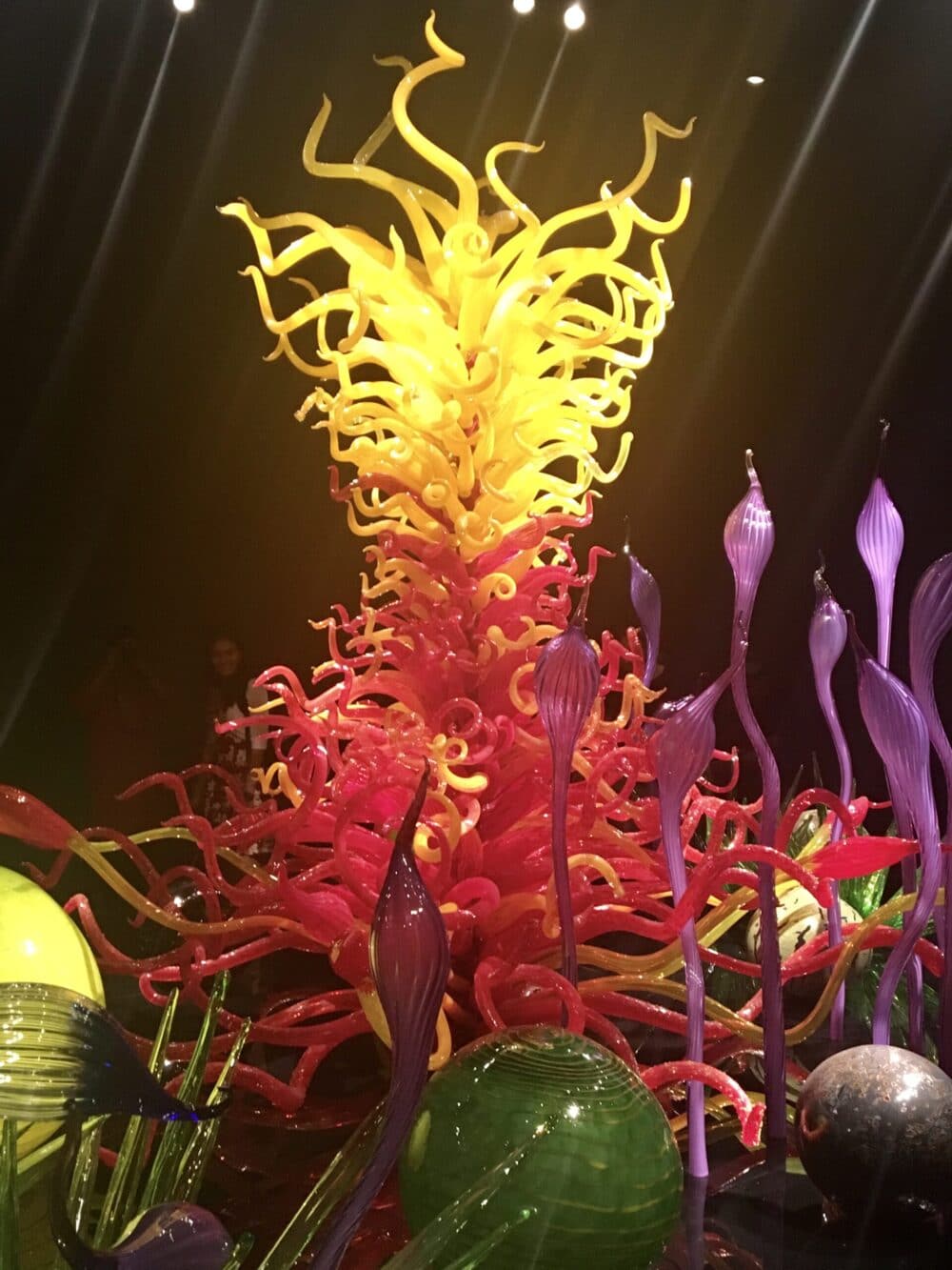 Chihuly Garden and Glass Museum in Seattle