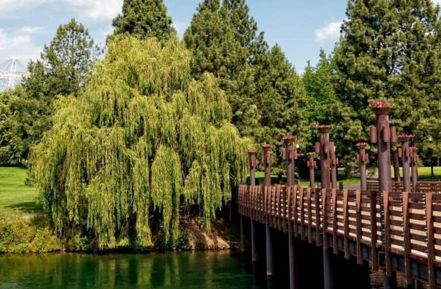 7 Beautiful Spokane Parks and Gardens