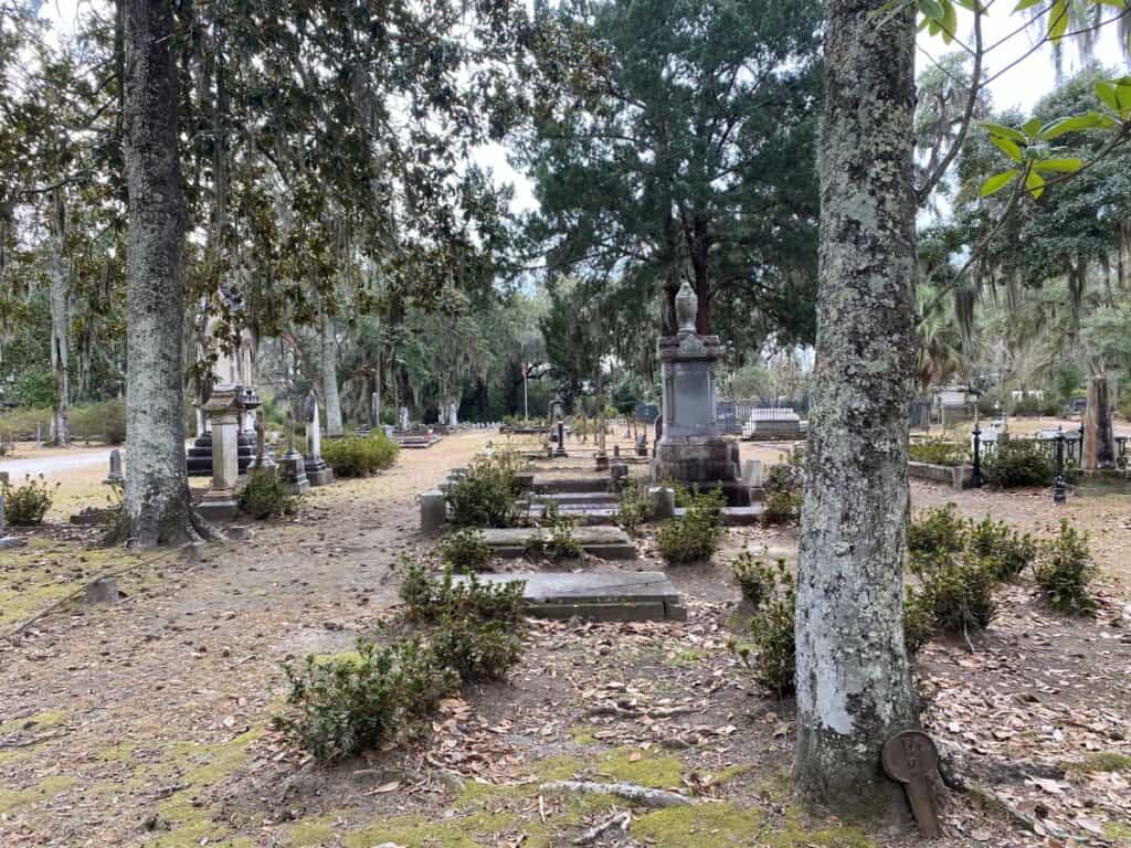 savannah cemetery