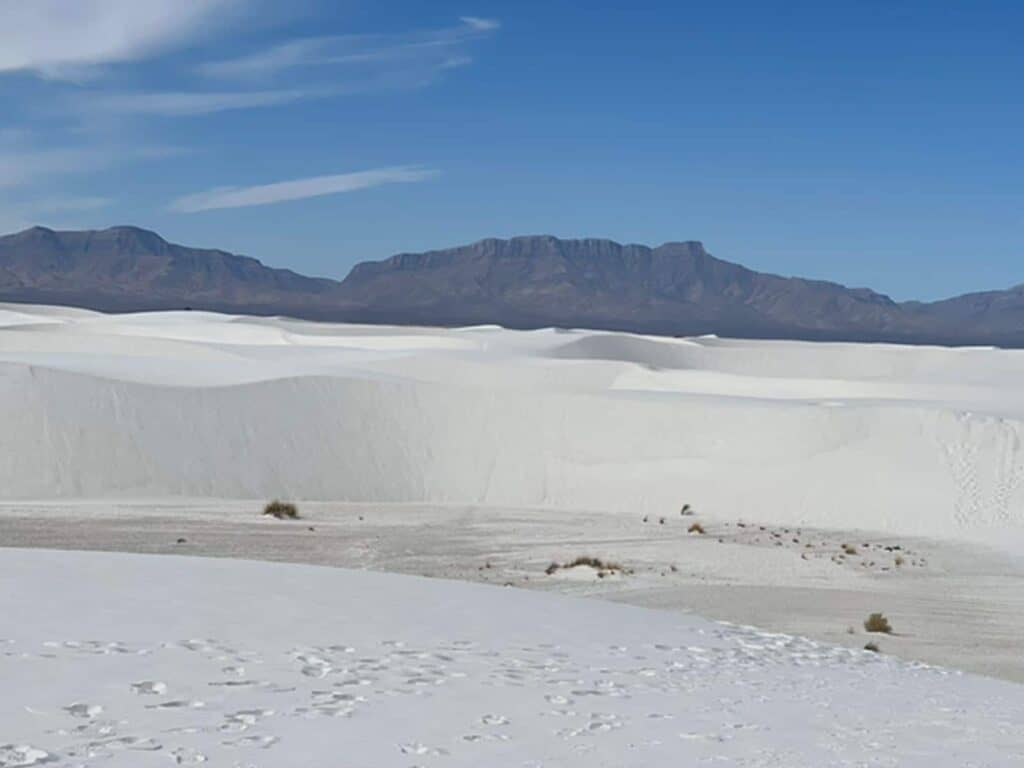 white sands national park view