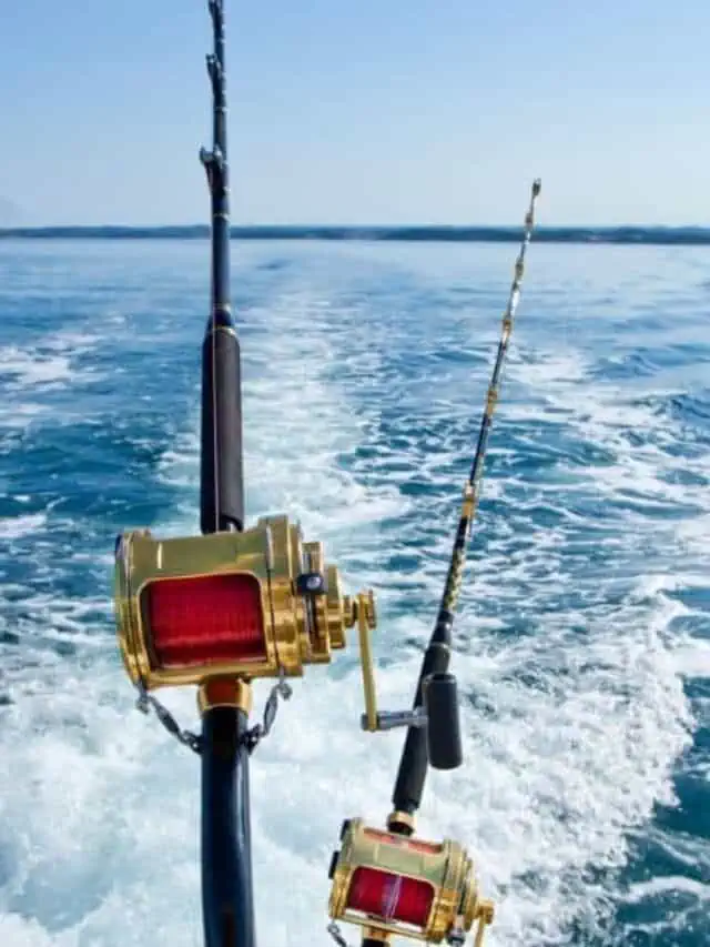 11 U.S. Cities Known for Great Deep Sea Fishing