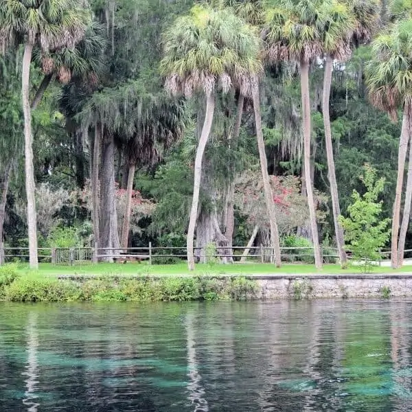 11 Fun Things to Do at Silver Springs State Park in Ocala, Florida
