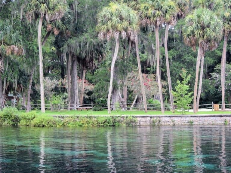 Silver Springs State Park in Ocala, Florida