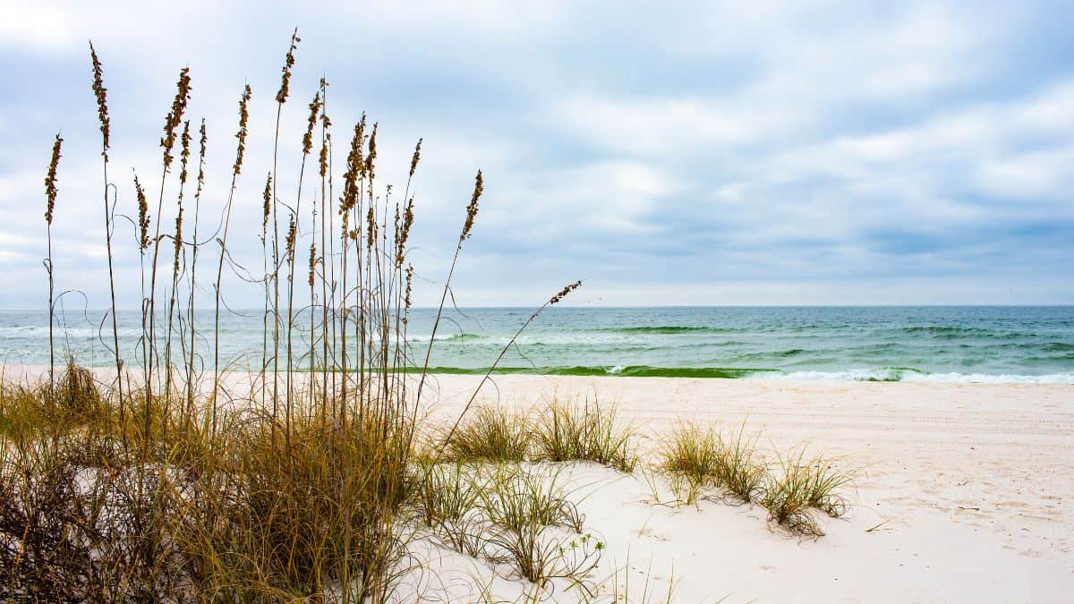 8 Exciting Ways to Explore Gulf Islands National Seashore