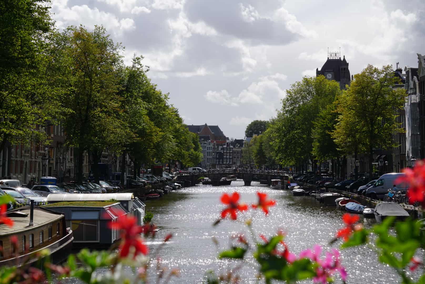 15 Things to Do in Amsterdam, Netherlands + Day Trips