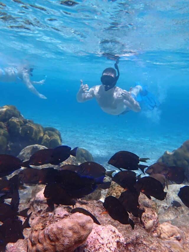 10 Best Snorkeling Spots in the Caribbean Story