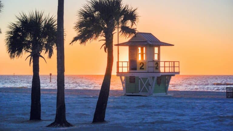 things to do in clearwater florida
