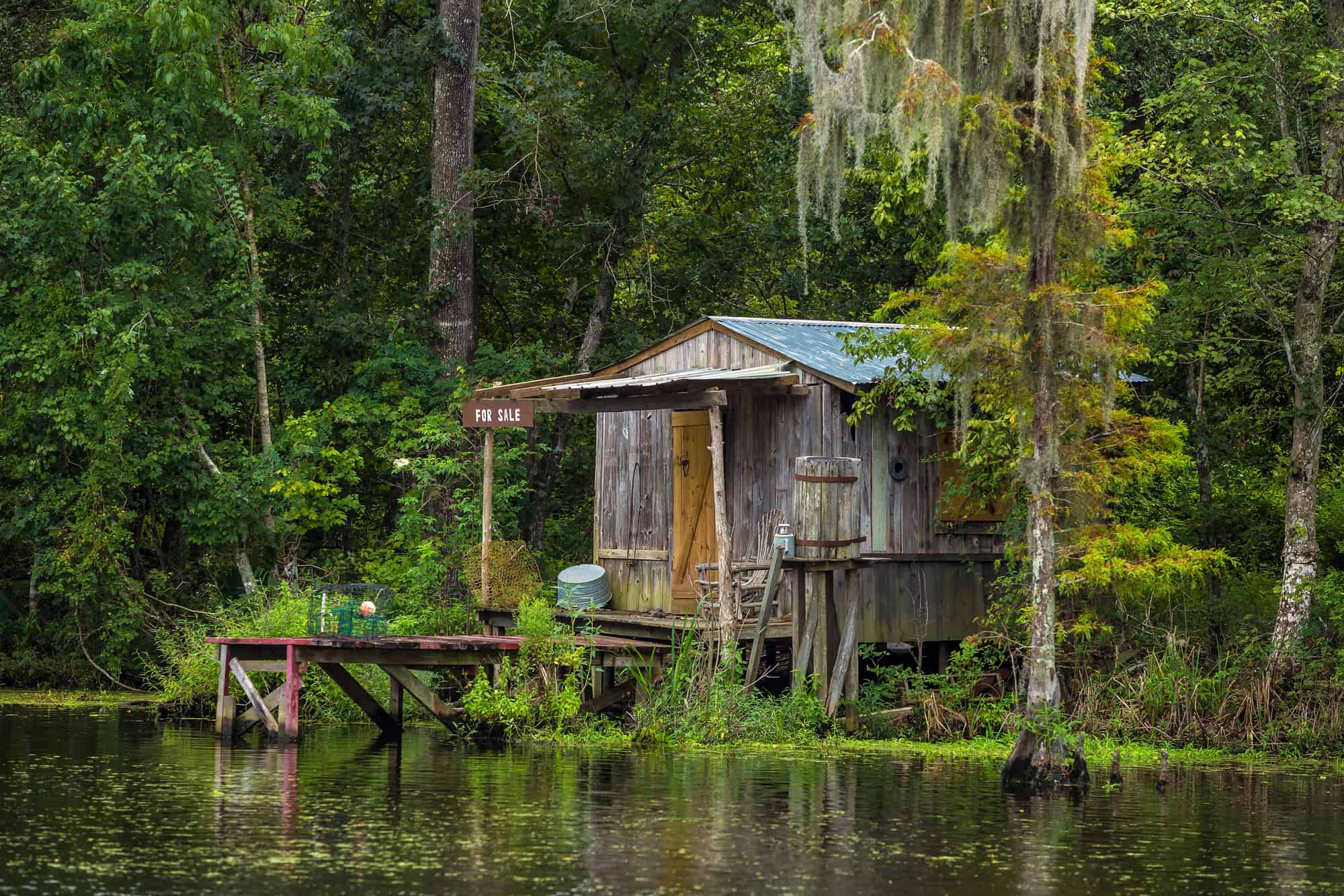 Swamp Tours and Beyond: Things to Do Outdoors in New Orleans