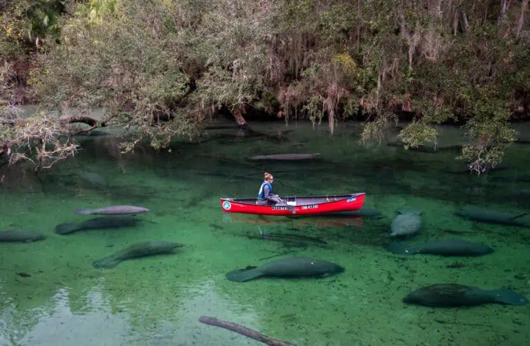 15 Florida State Parks for Outdoor Recreation and Exploration