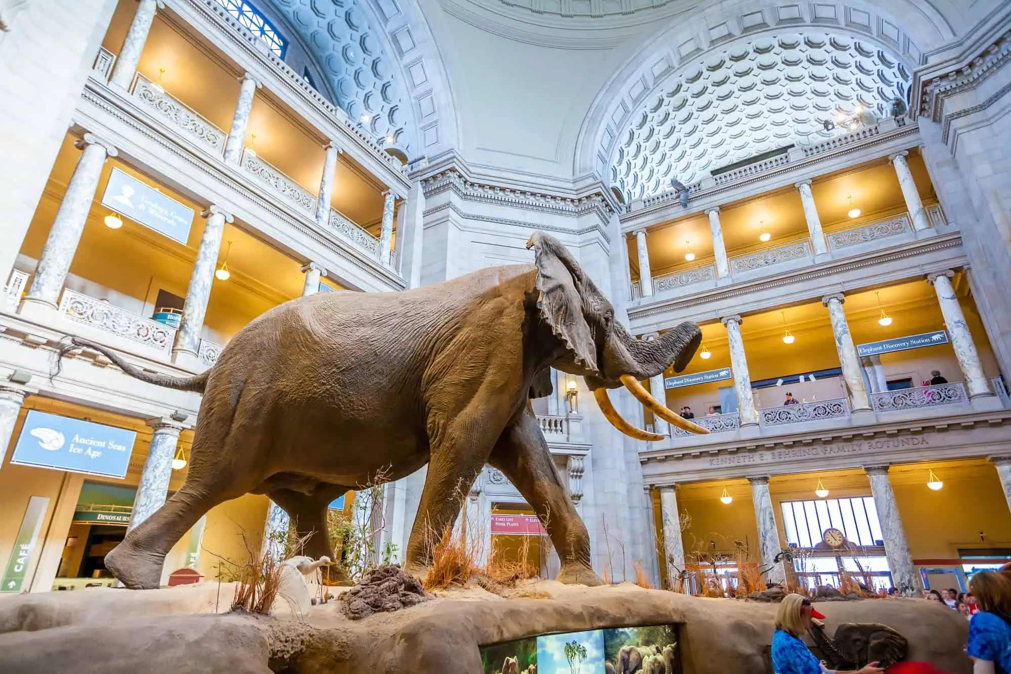 27 Washington, DC Museums For the Curious Mind