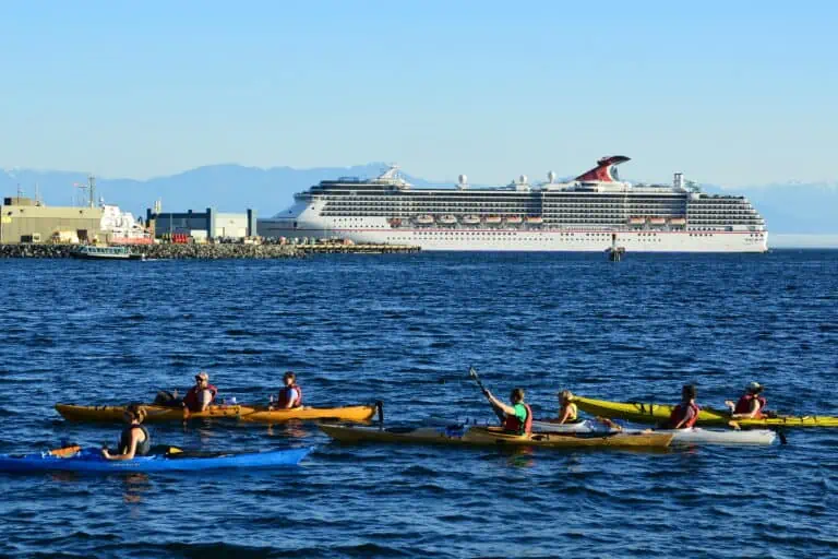cruise ship and kayakers