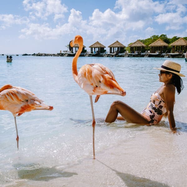 Caribbean Getaway: Your Aruba Vacation FAQs Answered