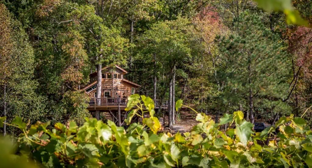 Blue Ridge Treehouse at Bear Claw Vineyards