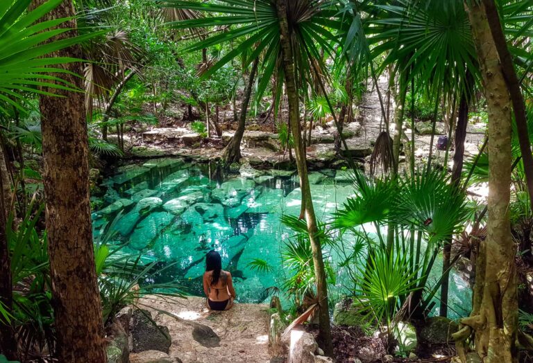 Experience Luxury in the Riviera Maya