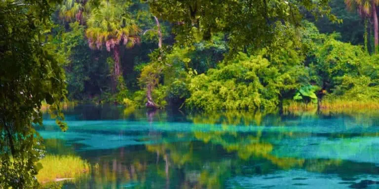 Beautiful nature at Rainbow Springs State Park, Dunnellon, FL
