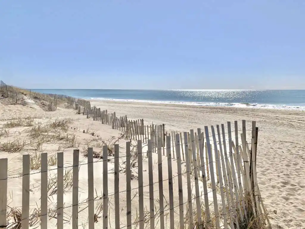 Sunny Day at Beach with Fenced Off Dunes, East Hampton, NY, US,
