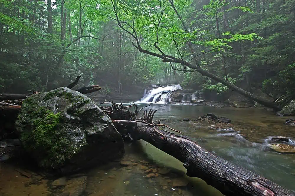 Kumbrabow State Forest, West Virginia