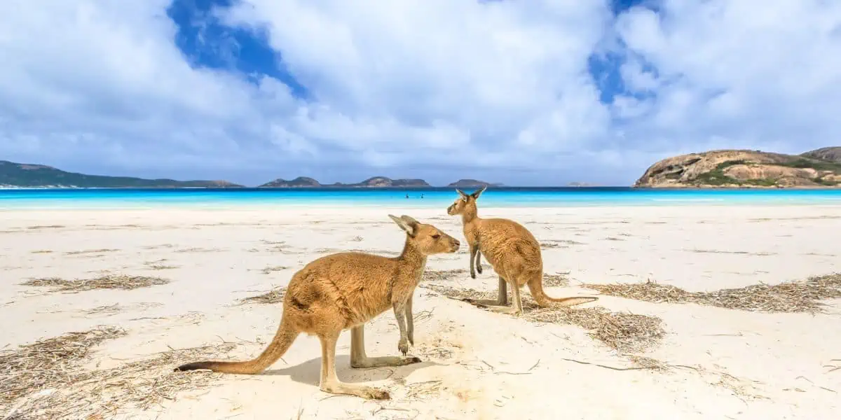 Lucky Bay - Australia