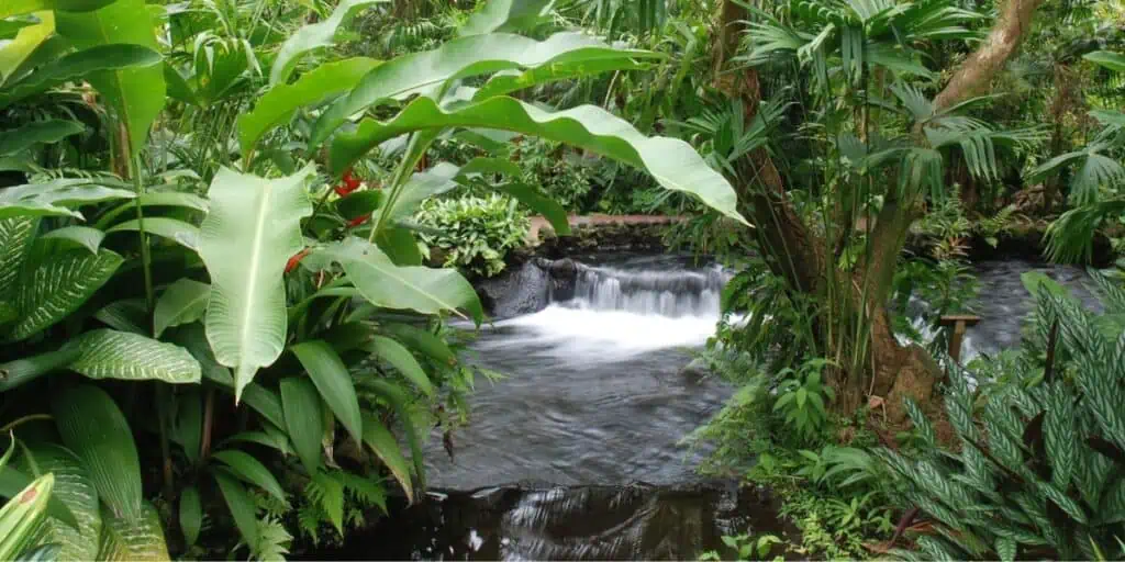Tabacon Hot Springs Costa Rica
