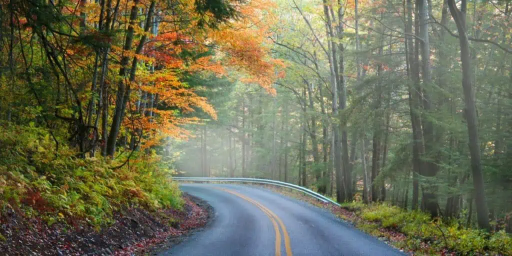 Allegheny National Forest fall road
