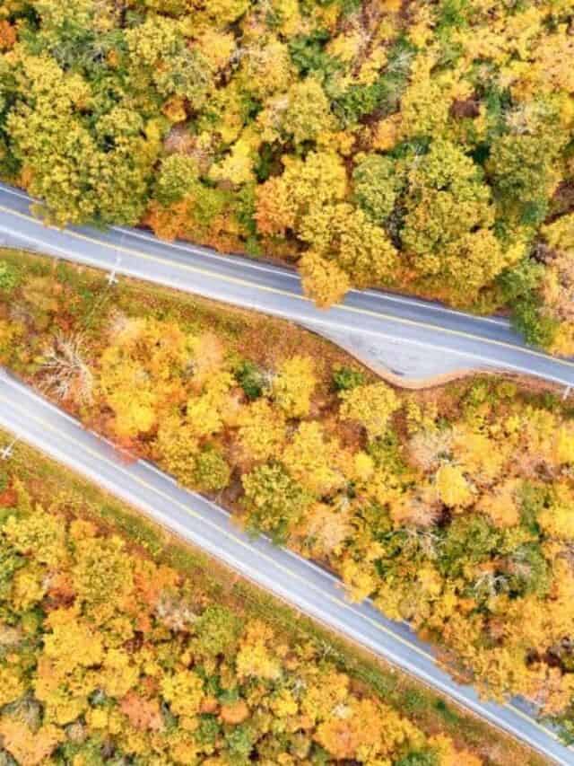 Road Trip: New England Fall Foliage Drives