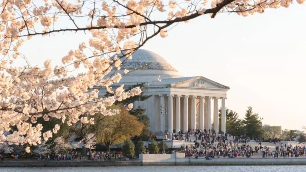 Cherry Blossom Festival in Washington D.C.