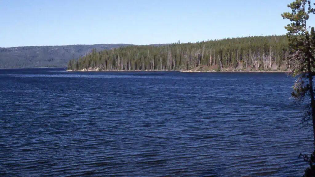 Shoshone Lake in Yellowstone National Park