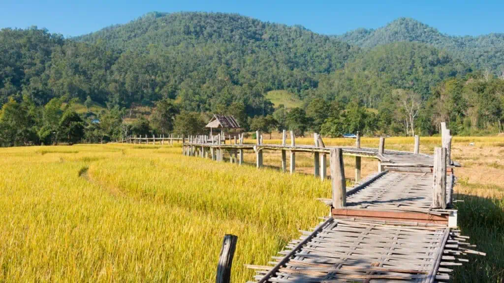 Bamboo Bridge in Pai, Thailand