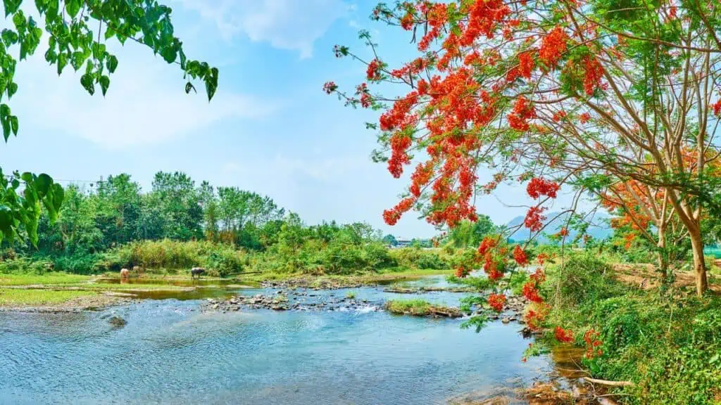 Pai River in Thailand
