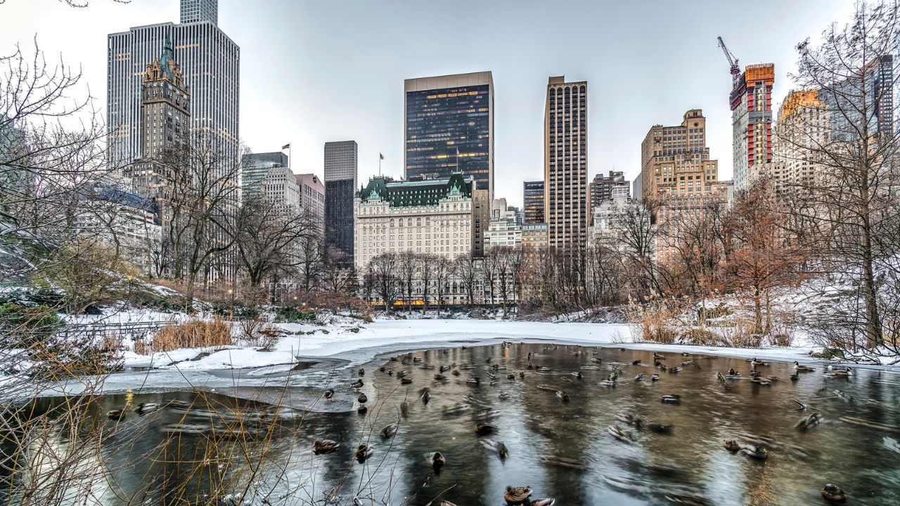 Central Park New York City in winter